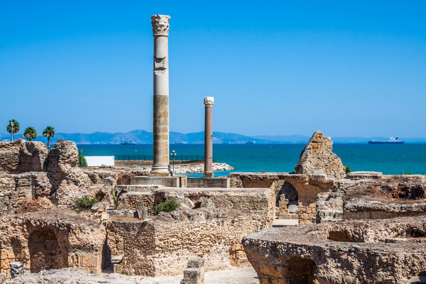 Jour 1 : FRANCE / TUNIS OU MONASTIR / HAMMAMET