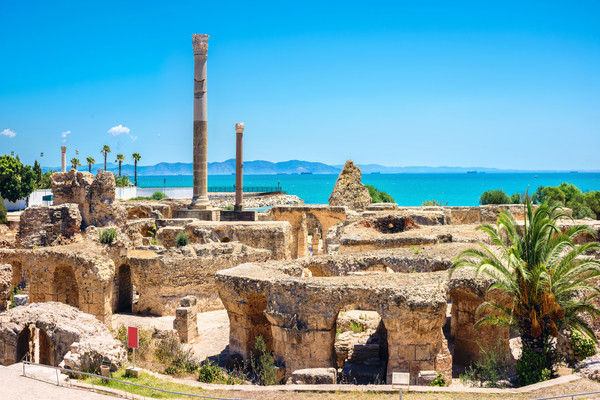 Jour 2 : HAMMAMET / TUNIS / HAMMAMET (environ 140 km)