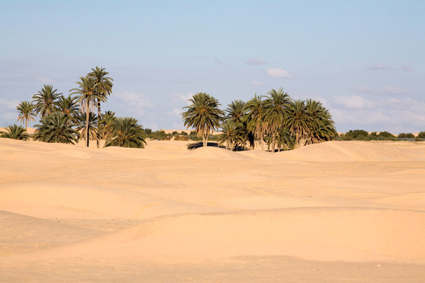 3e JOUR : KSAR GHILANE - DOUZ - TOZEUR :