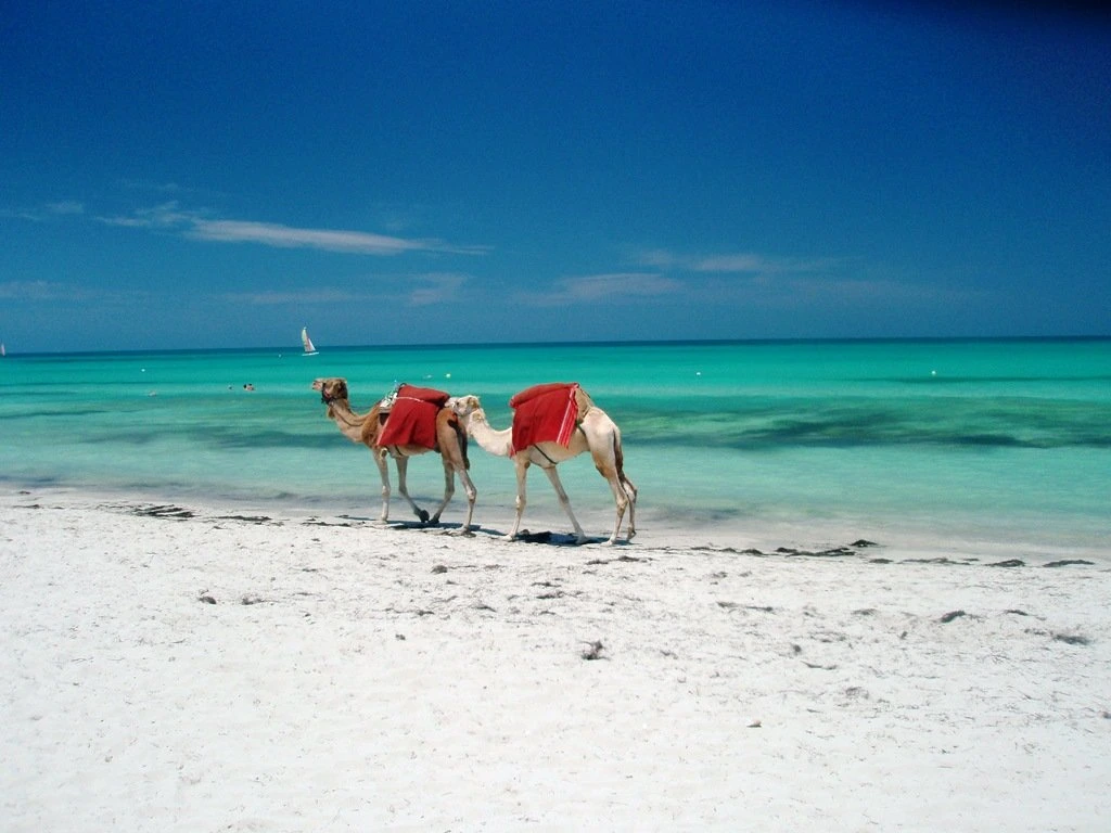 Djerba Par Vol